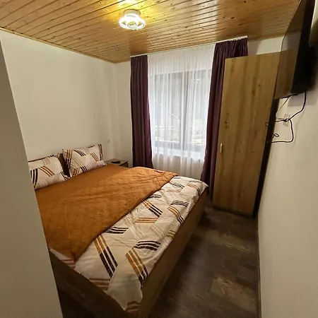Matei Coasta Lesului